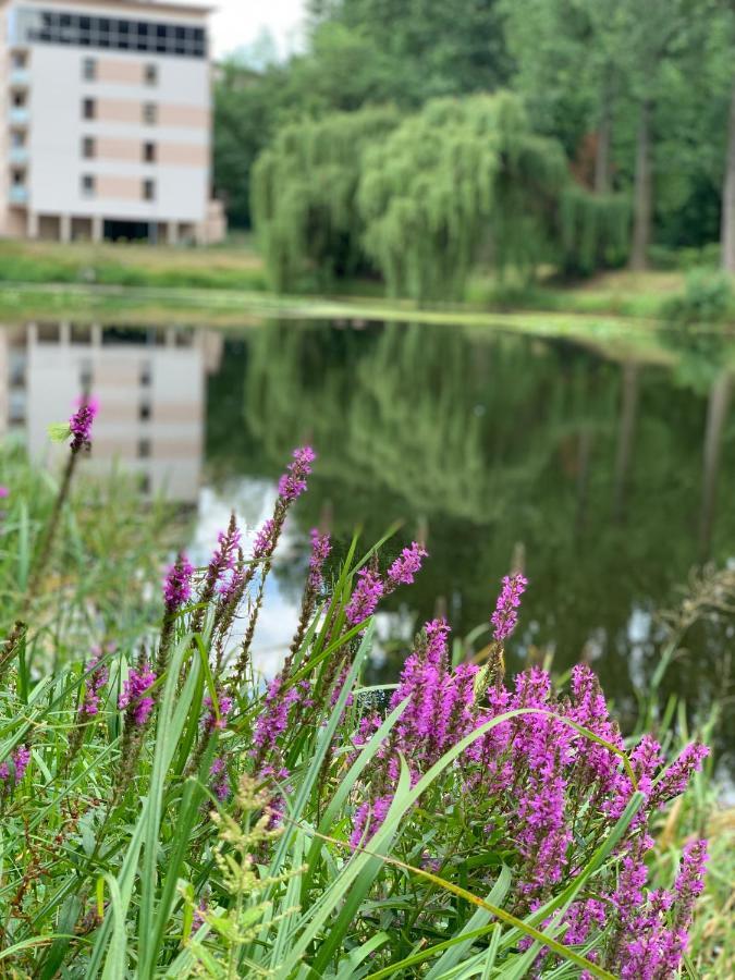 Apartmán Europa22 Superior Tomaszów Mazowiecki Exteriér fotografie